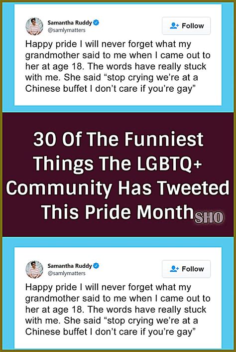 funny gay pride quotes|30 Of The Funniest Things The LGBTQ+ Community Has .